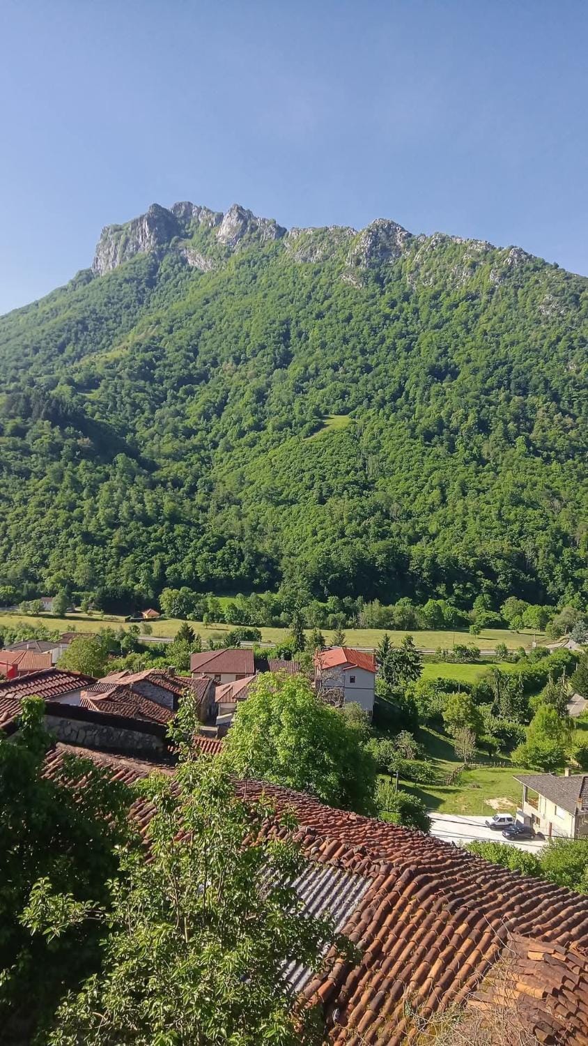 Mountain view