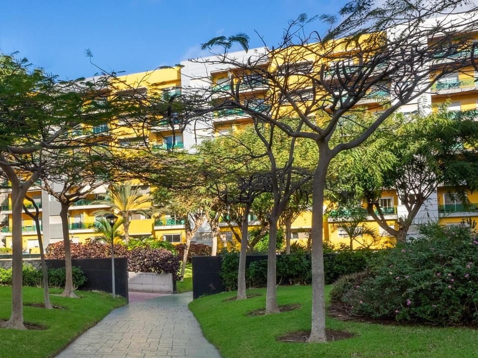 Property building, Day, Garden