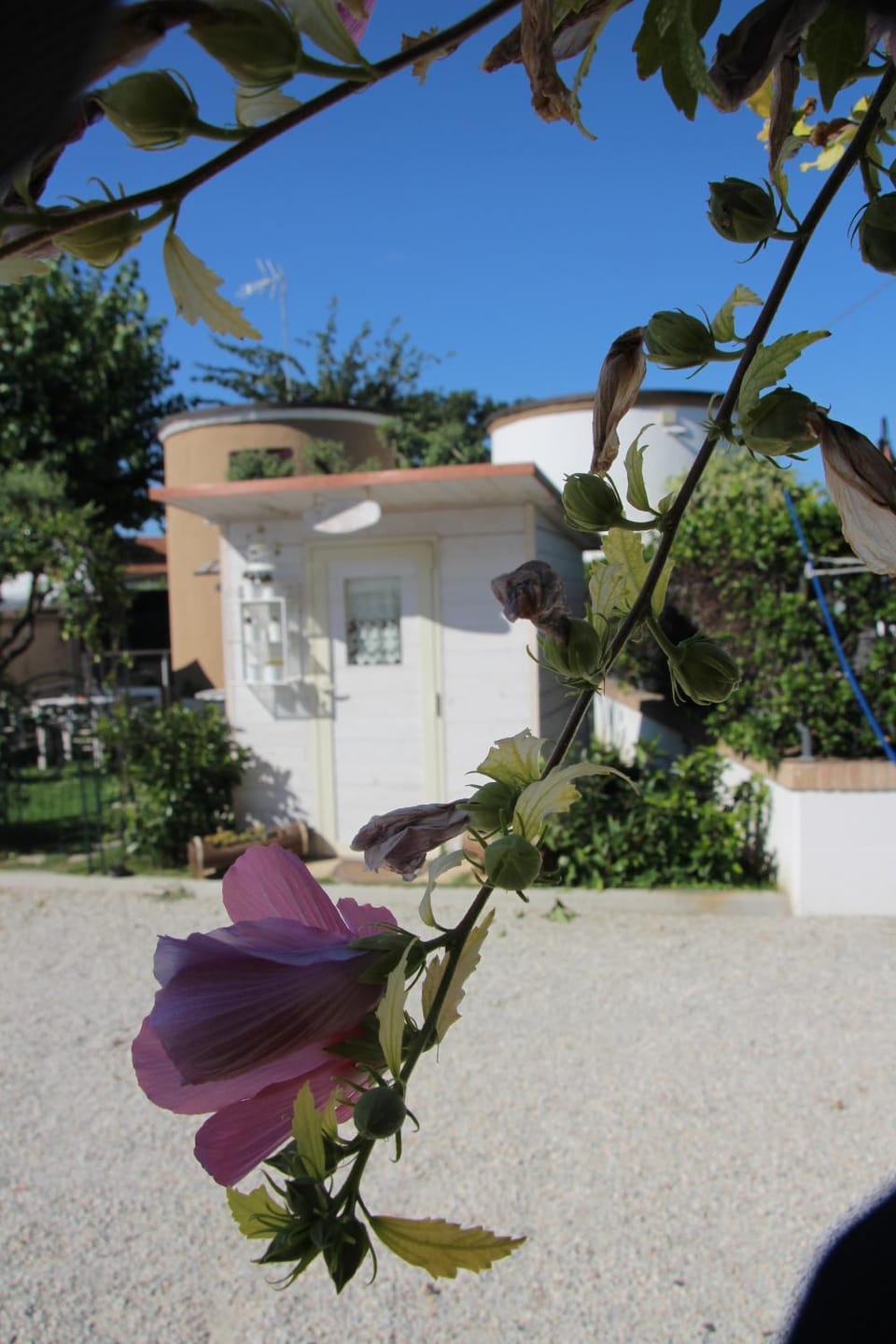 B&b Sogni d'oro Milena Bed and Breakfast in Marche