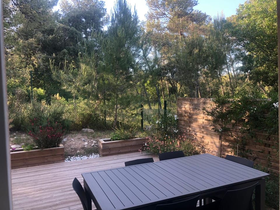 Garden view