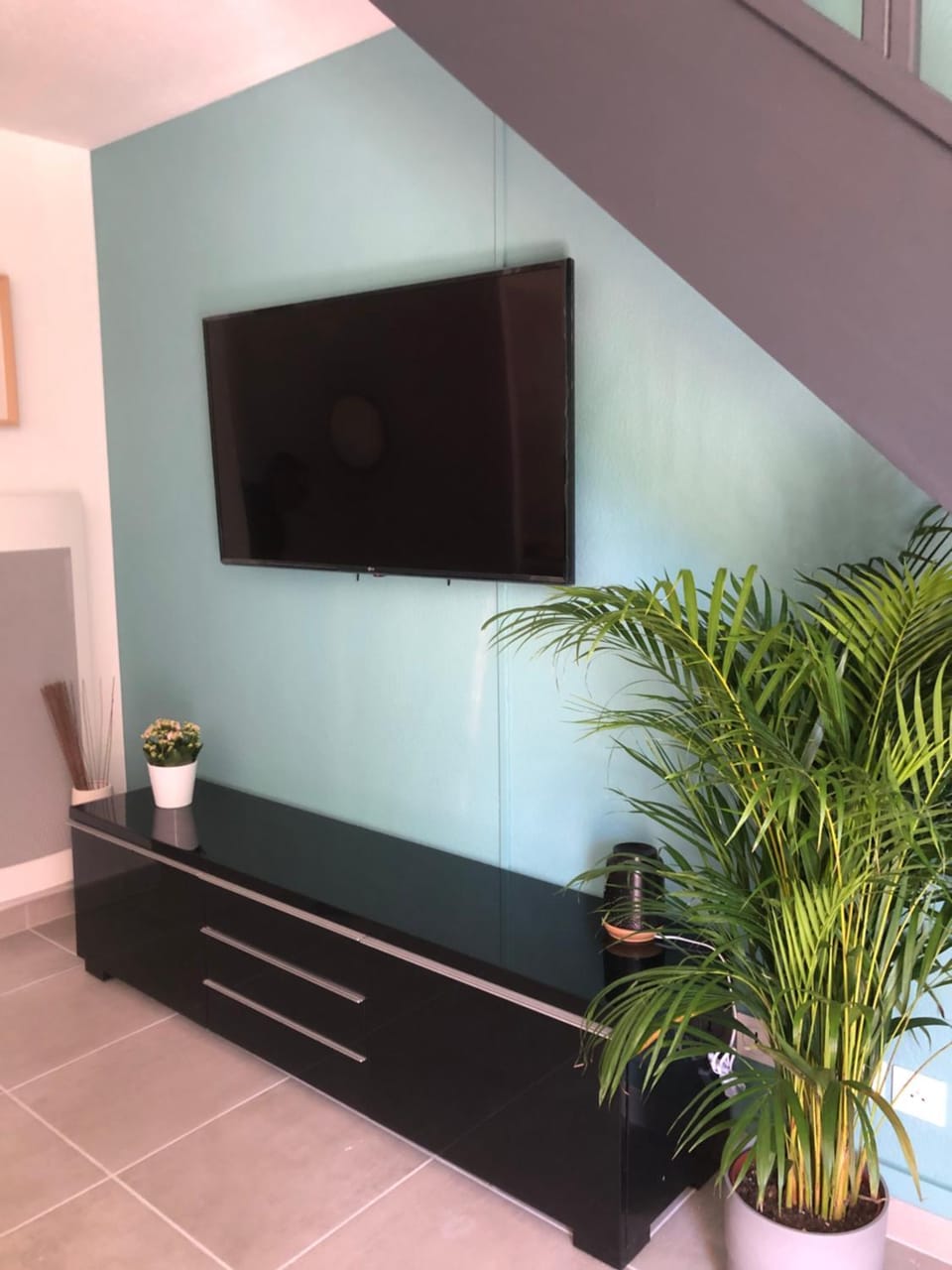 TV and multimedia