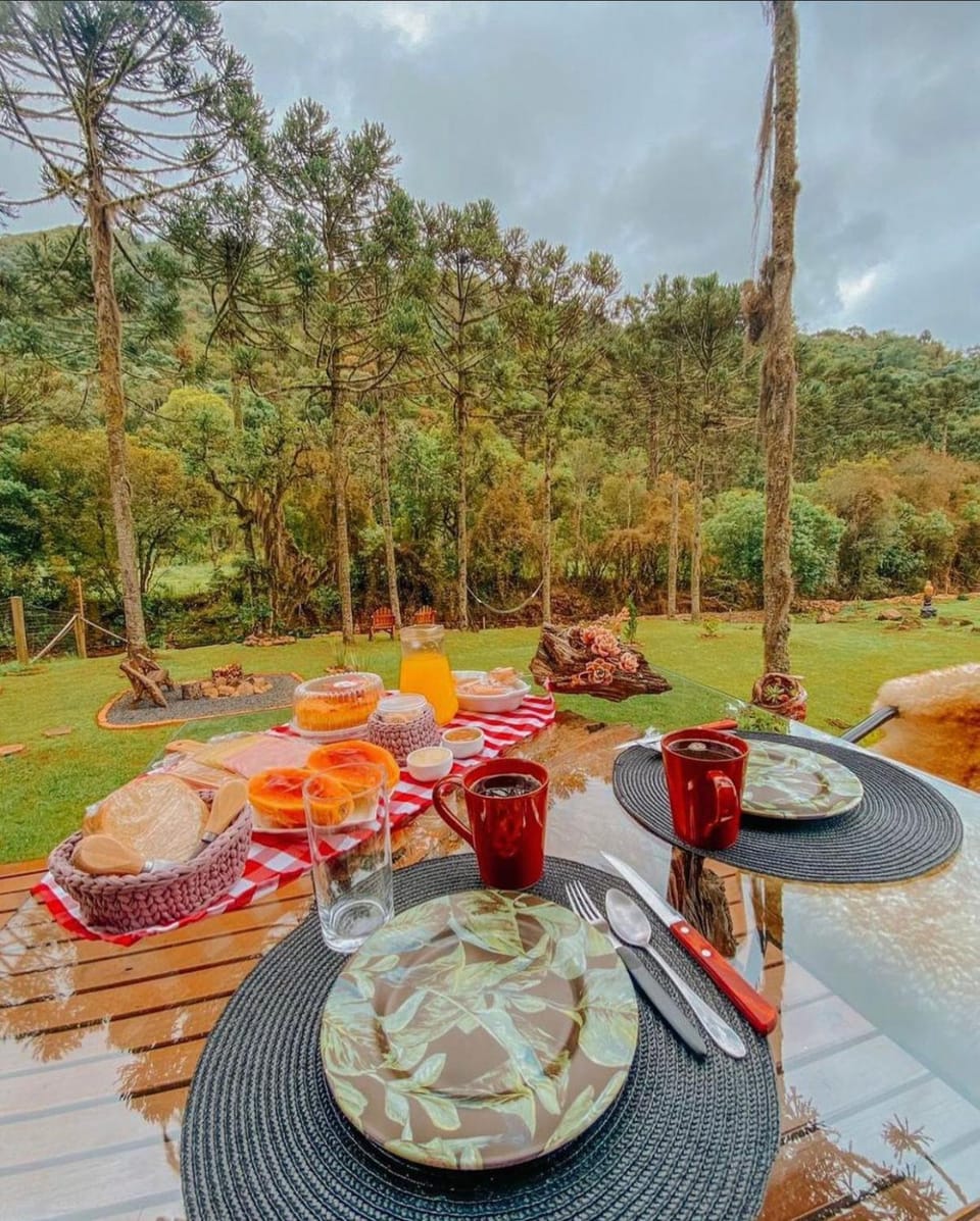 Patio, Breakfast