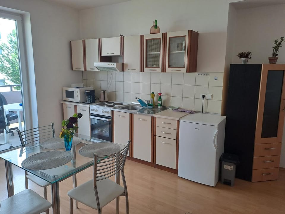 Peškova, byt o 2 pokojích s terasou Apartment in South Moravian Region