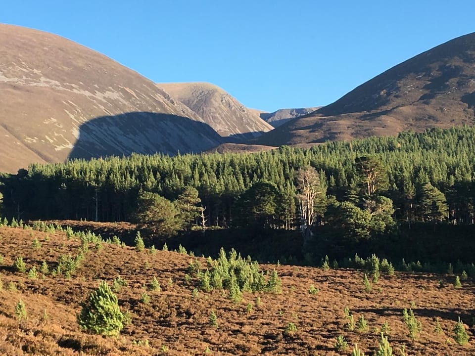 Natural landscape