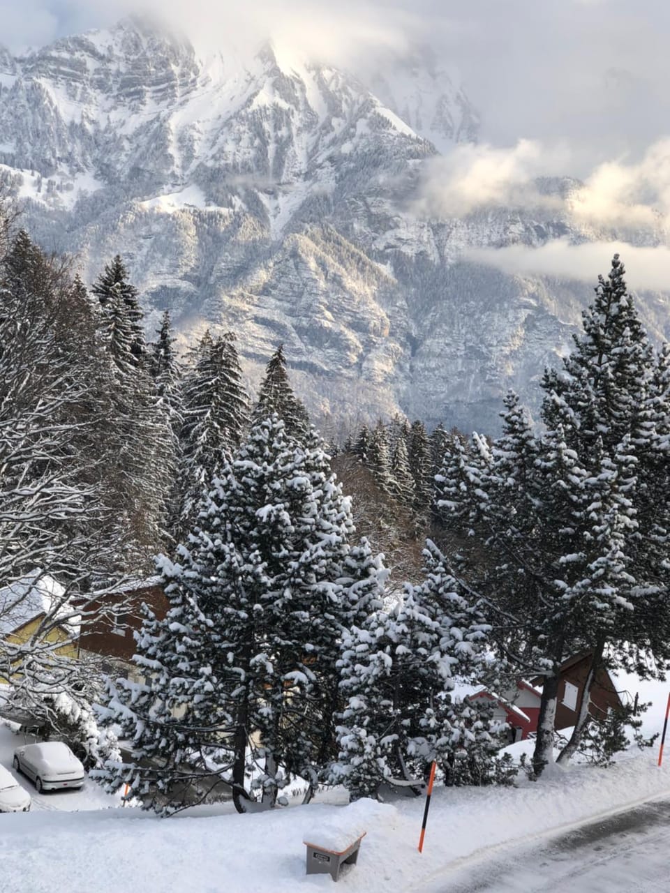 Winter, Mountain view