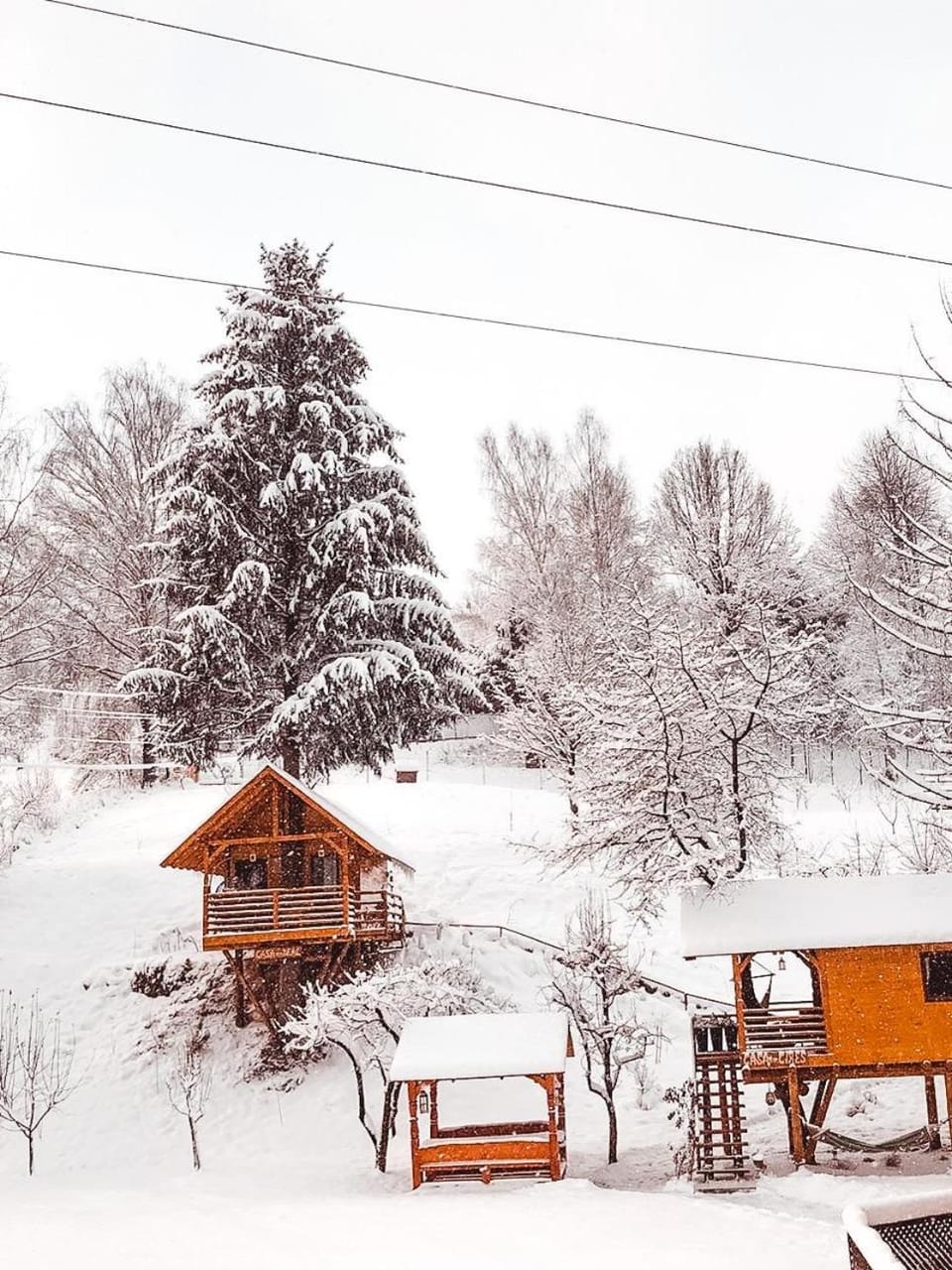 Day, Natural landscape, Winter
