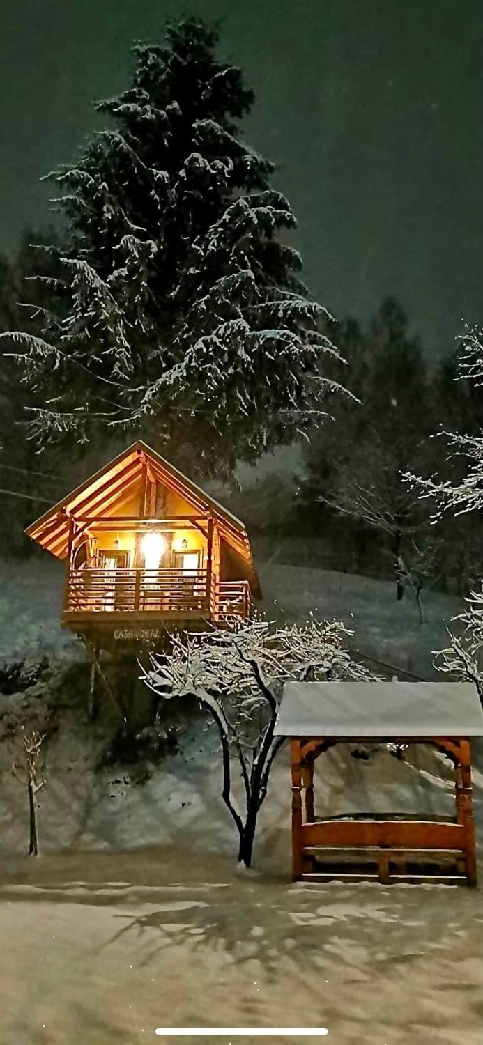 Property building, Night, Winter