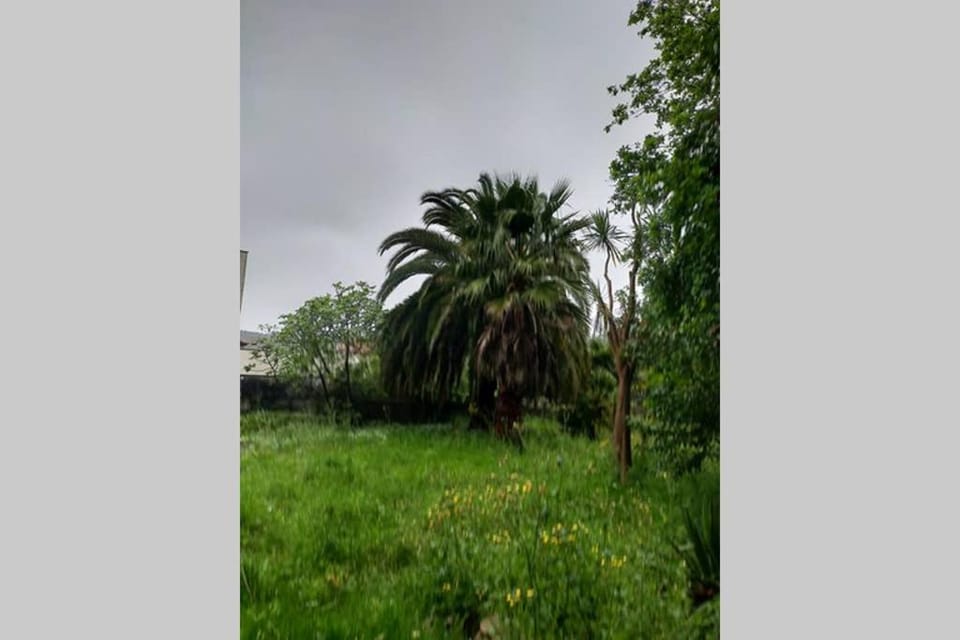 La isla de las sirenas House in Cantabria