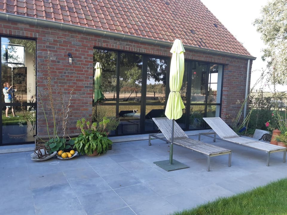 Property building, Garden, Seating area, Garden view, sunbed