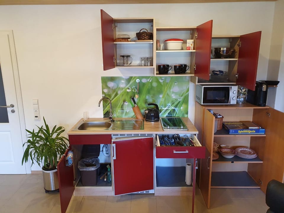 Kitchen or kitchenette, Living room