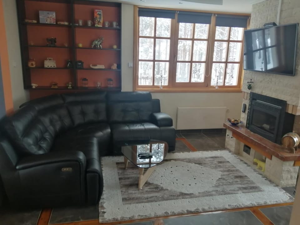 Vila Panić Zlatibor Villa in Zlatibor District, Serbia