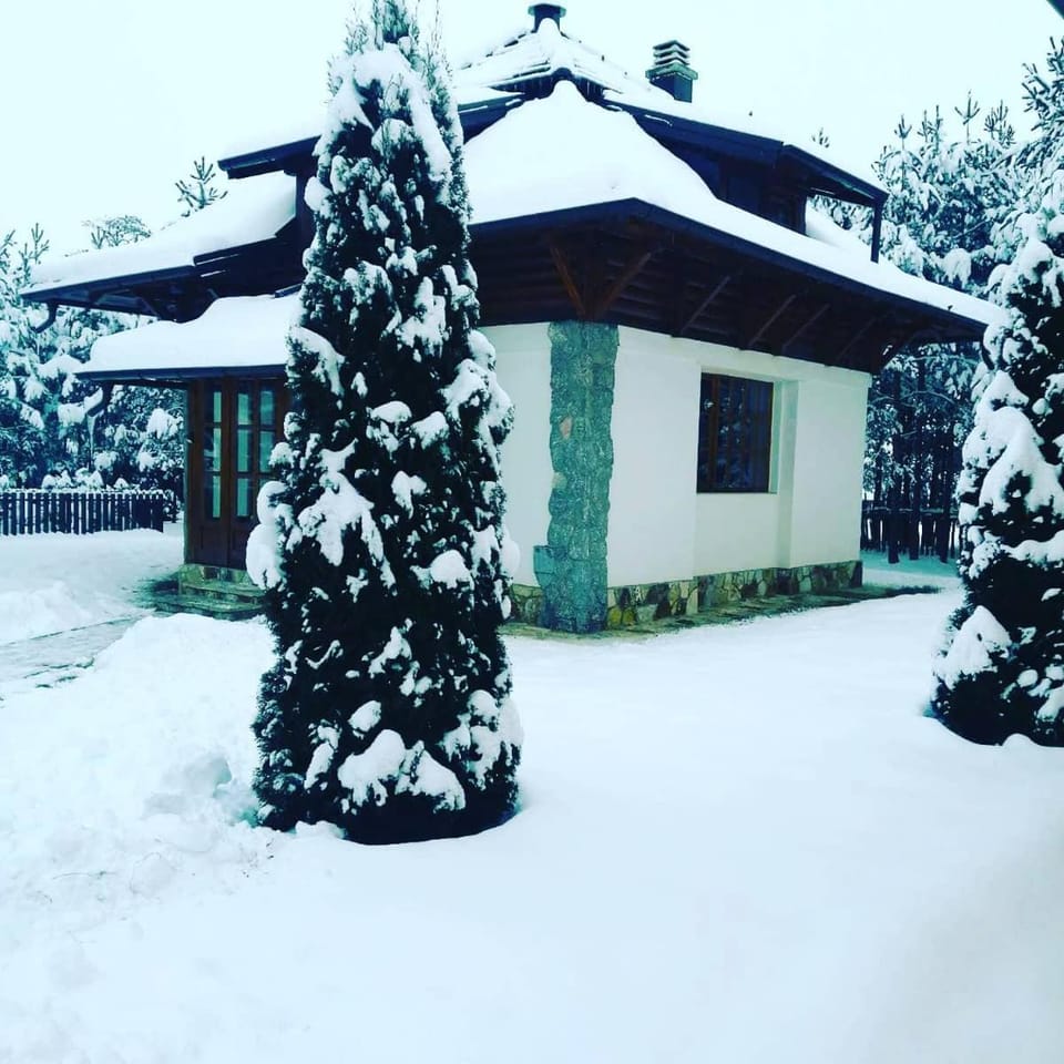 Vila Panić Zlatibor Villa in Zlatibor District, Serbia