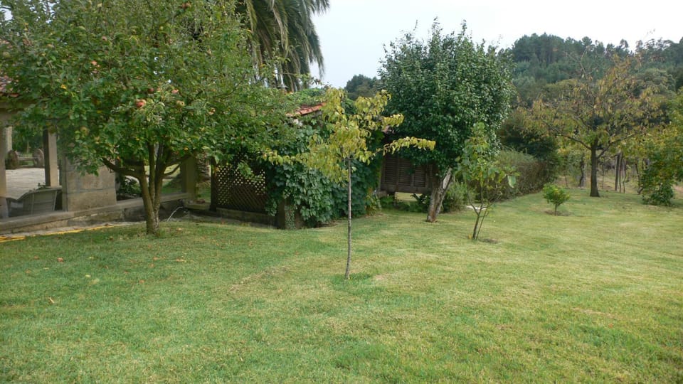 Property building, Garden view