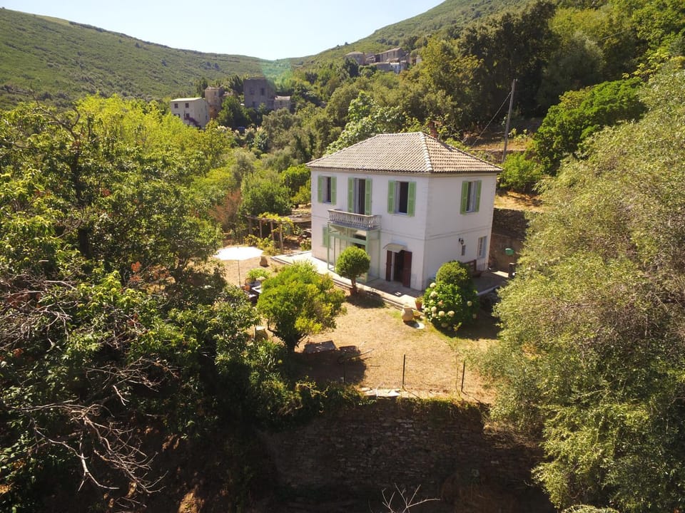 Spring, Day, Bird's eye view, Summer, Garden, Garden