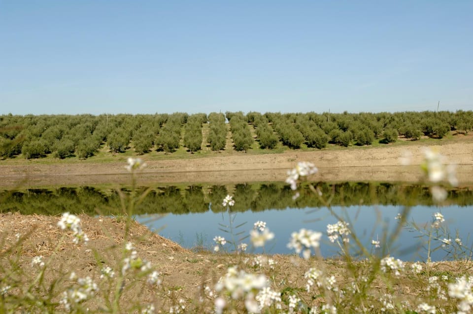 Spring, Day, Natural landscape, Lake view