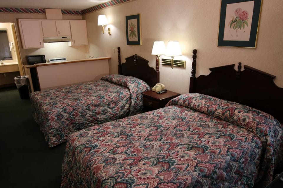 Kitchen or kitchenette, Photo of the whole room