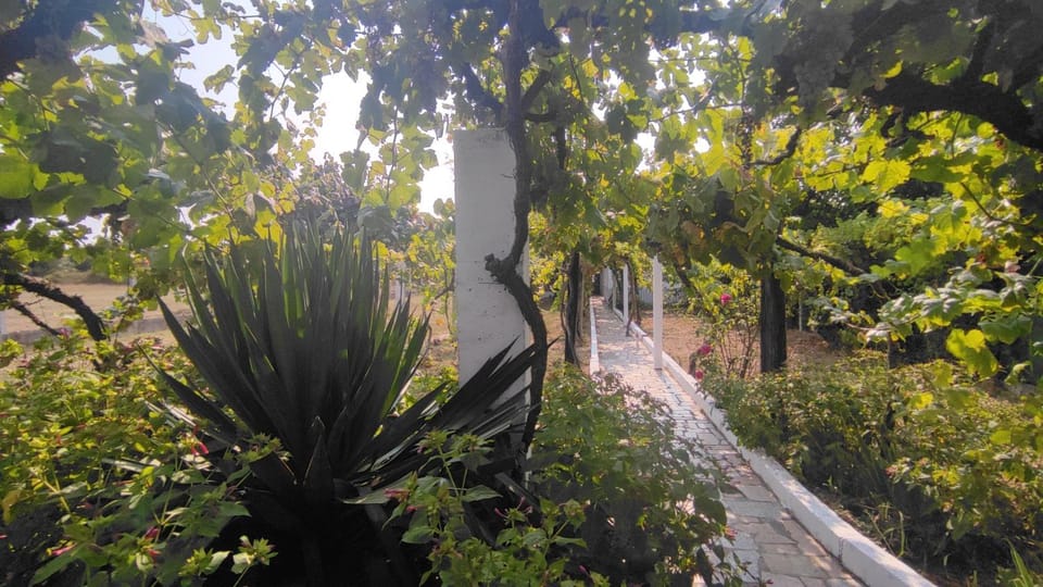 Facade/entrance, Natural landscape, Garden