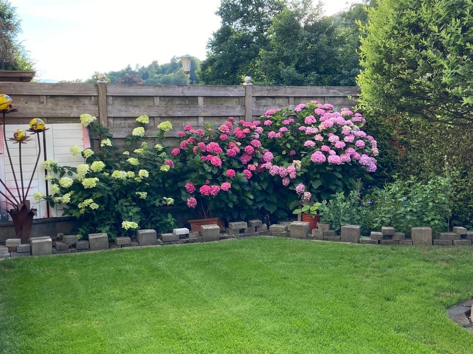 Inner courtyard view
