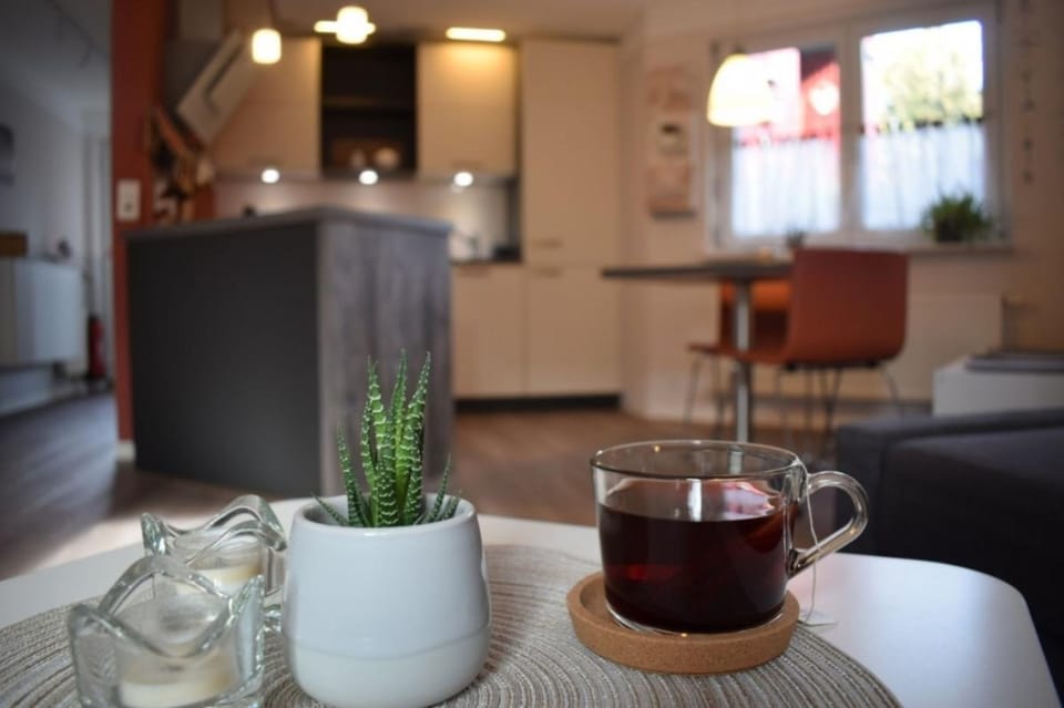 Travel FREIRAUM Apartment in Strasbourg