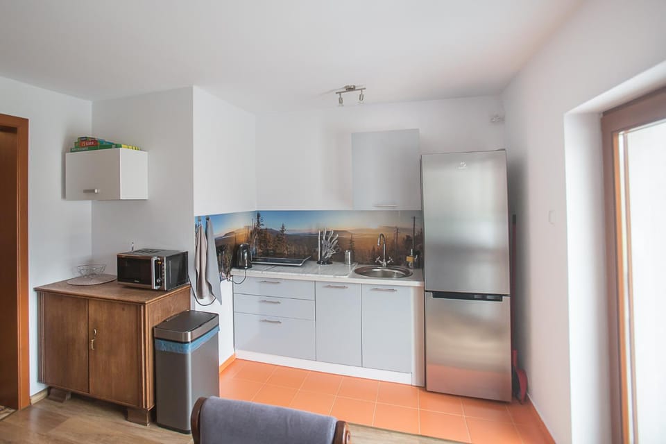 Kitchen or kitchenette, minibar, stove