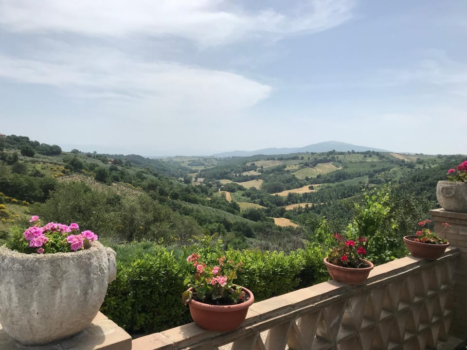 Natural landscape
