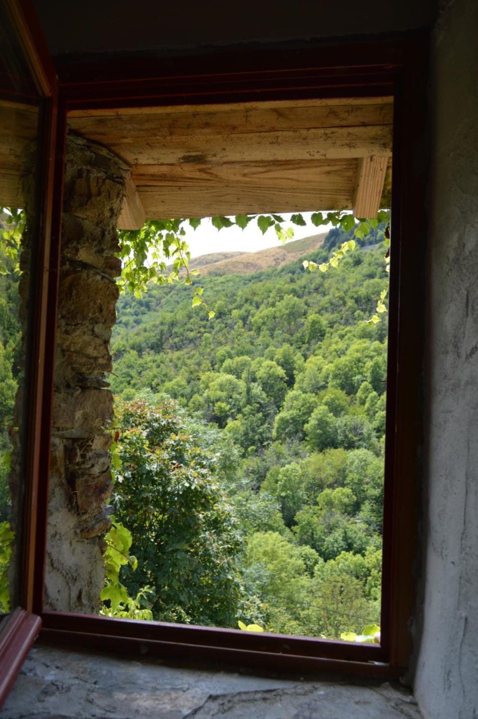 Mountain view
