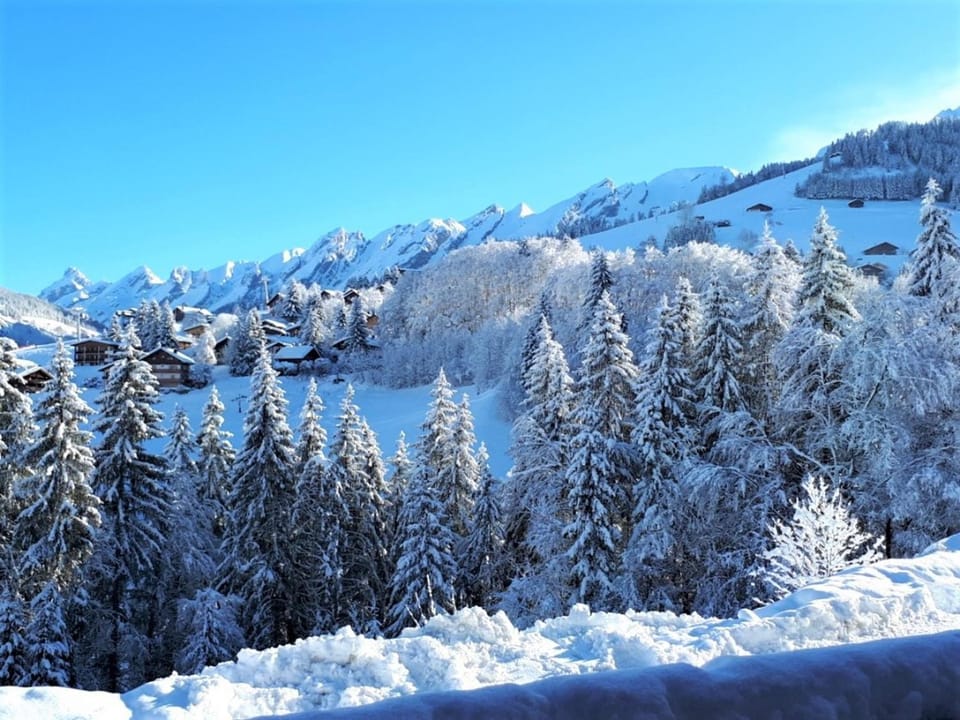 Appartement ski aux pieds, 2 chambres, terrasse et parking couvert - La Clusaz - FR-1-459-49 Apartment in La Clusaz