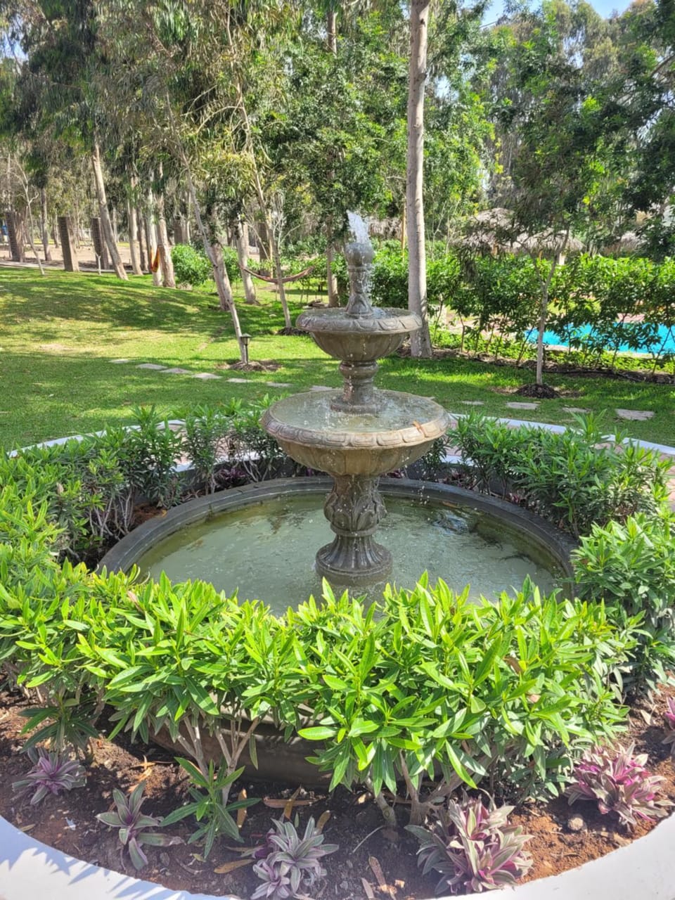 Garden, Garden view
