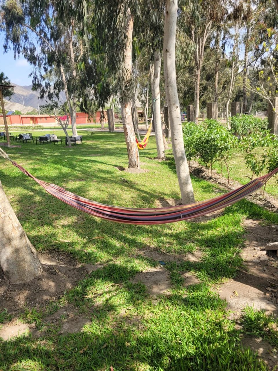 Natural landscape, Garden, Garden view