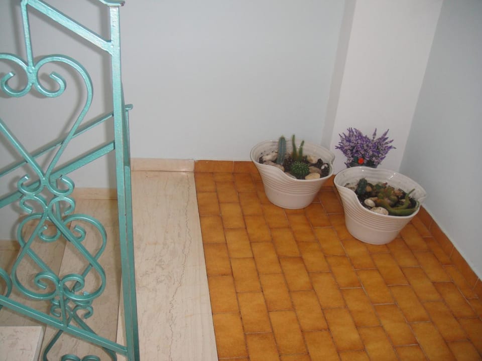Barbara΄s Apartments Apartment in Argostolion