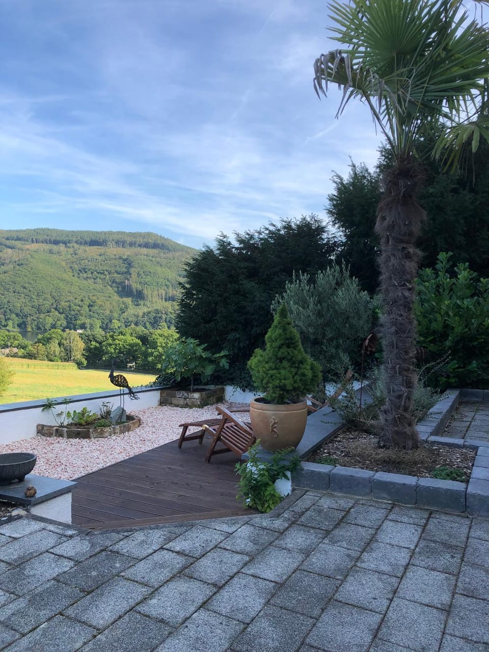 Garden view