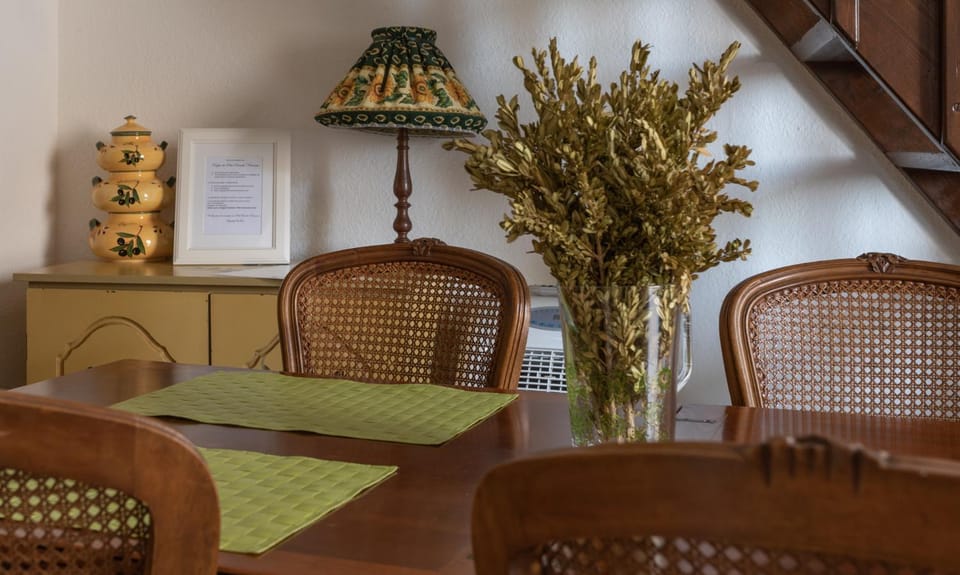 Petit Paradis Nemausus Apartment in Nimes