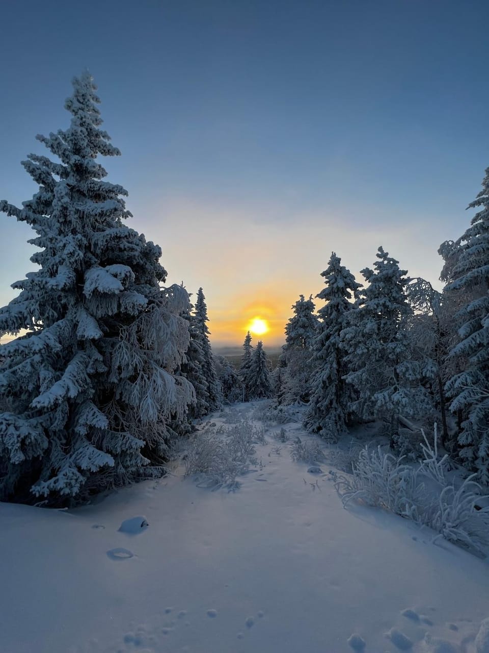 Natural landscape, Winter, Sunset