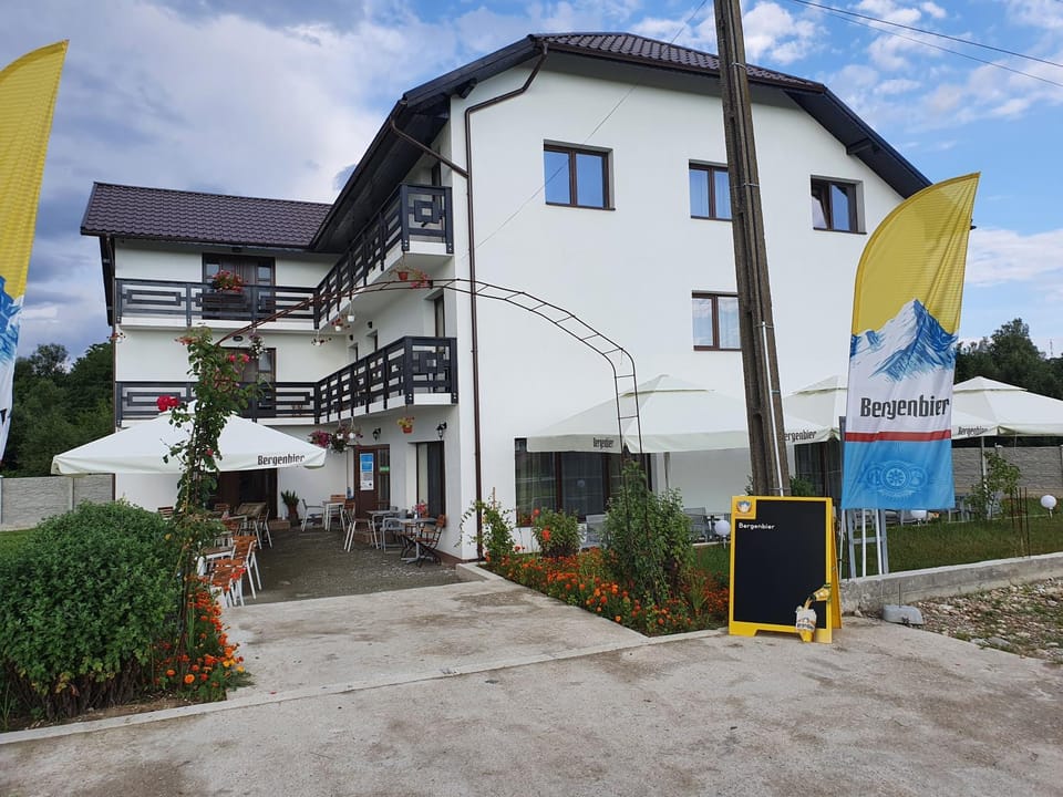 Pensiunea Ronicson Bed and Breakfast in Romania
