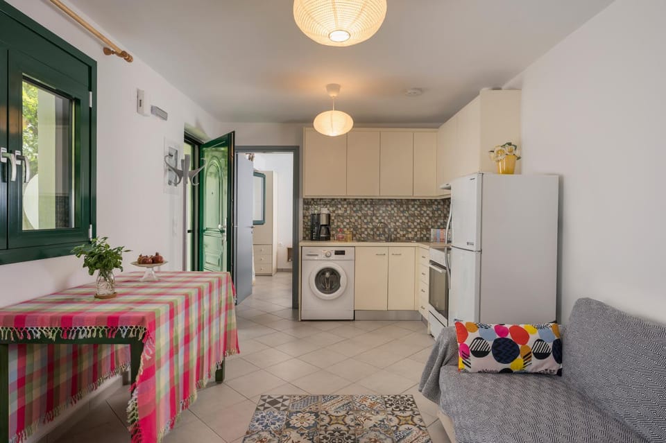 Living room, Photo of the whole room, Seating area, Dining area, washing machine