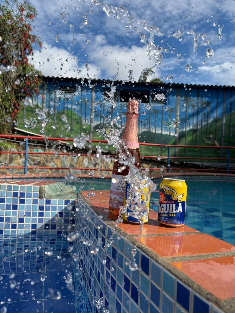 Swimming pool