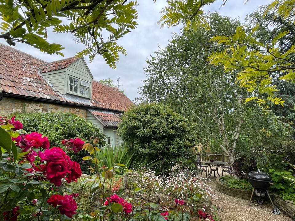 Property building, Day, Garden, Garden view