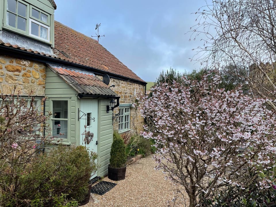 Property building, Garden, Garden view
