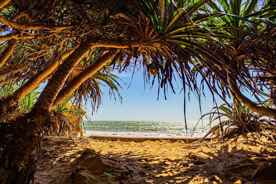 Lotus Beach House House in Phan Thiet