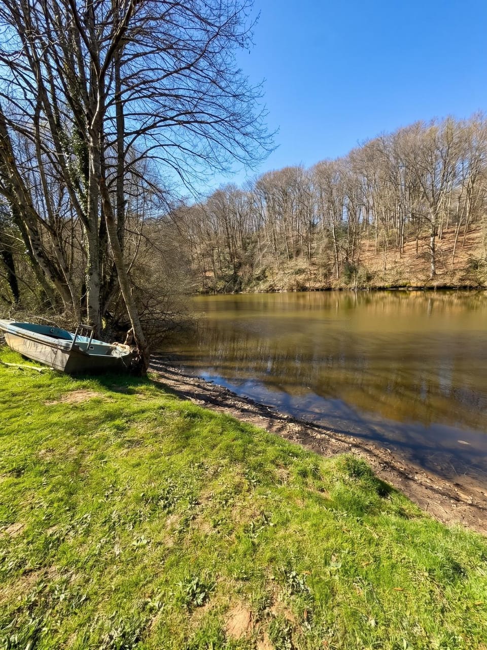 Lake view