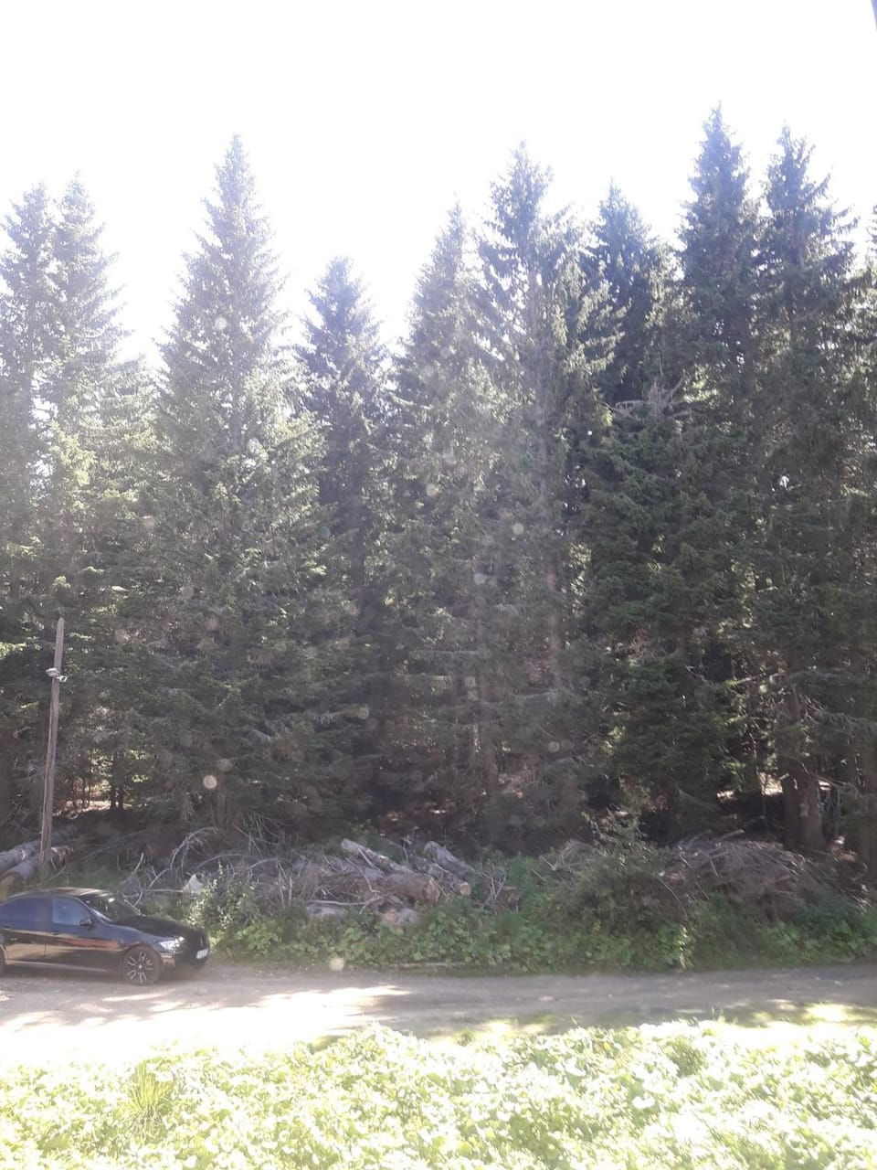 KAMENA 6 Apartment in Serbia