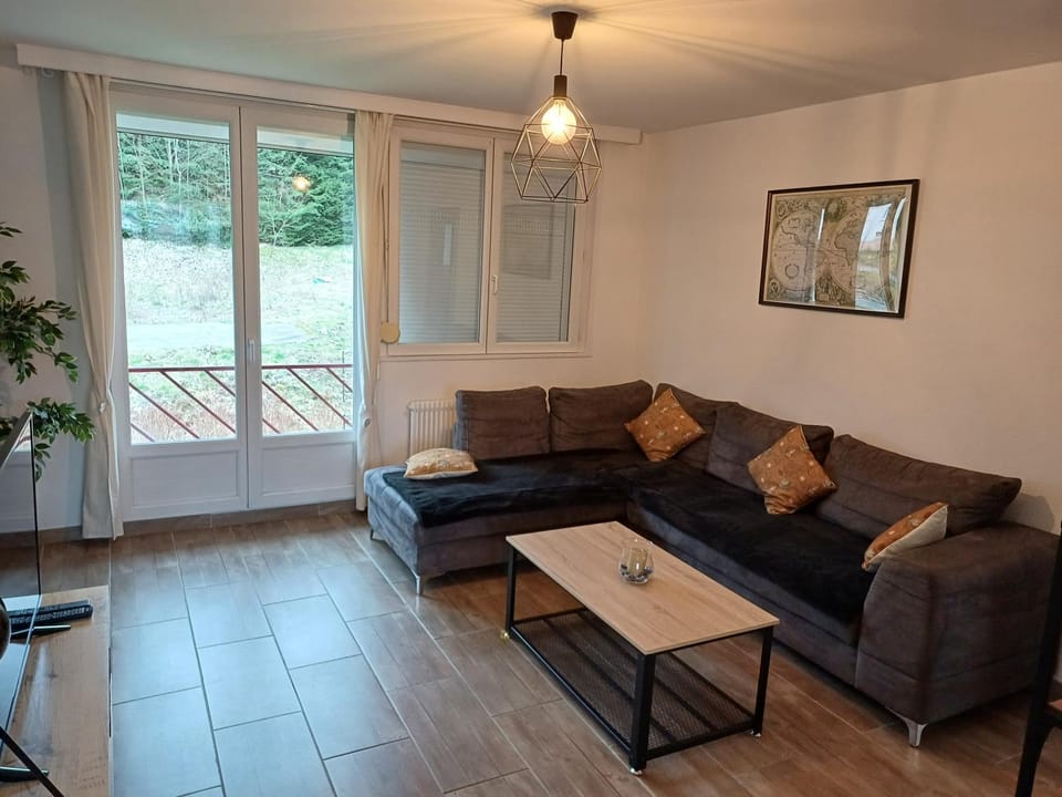 Le petit vosgien Apartment in Gérardmer