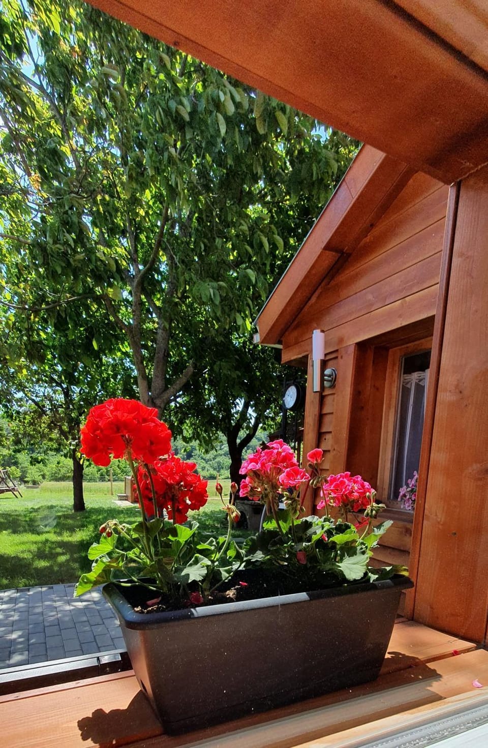 Day, Garden, Garden view