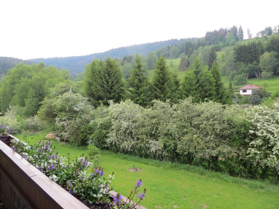 Ferienwohnungen Breternitz Apartment in Thuringia, Germany
