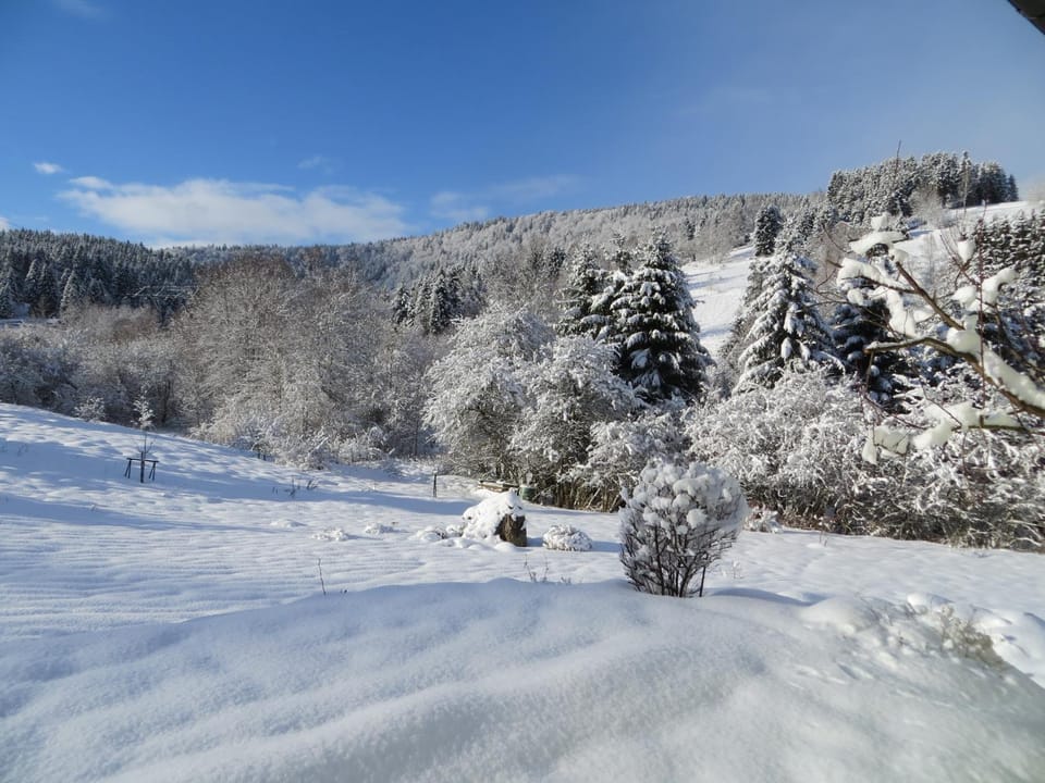 Garden view, Mountain view