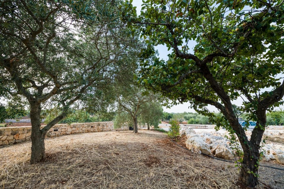 Masseria Mezza Ruota Apartment in Province of Taranto