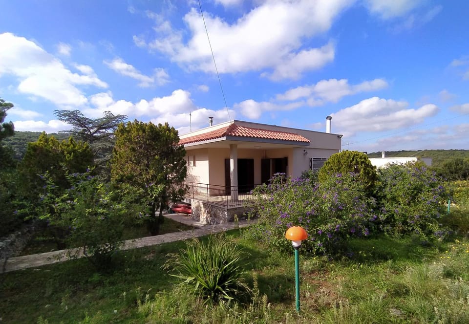Property building, Garden