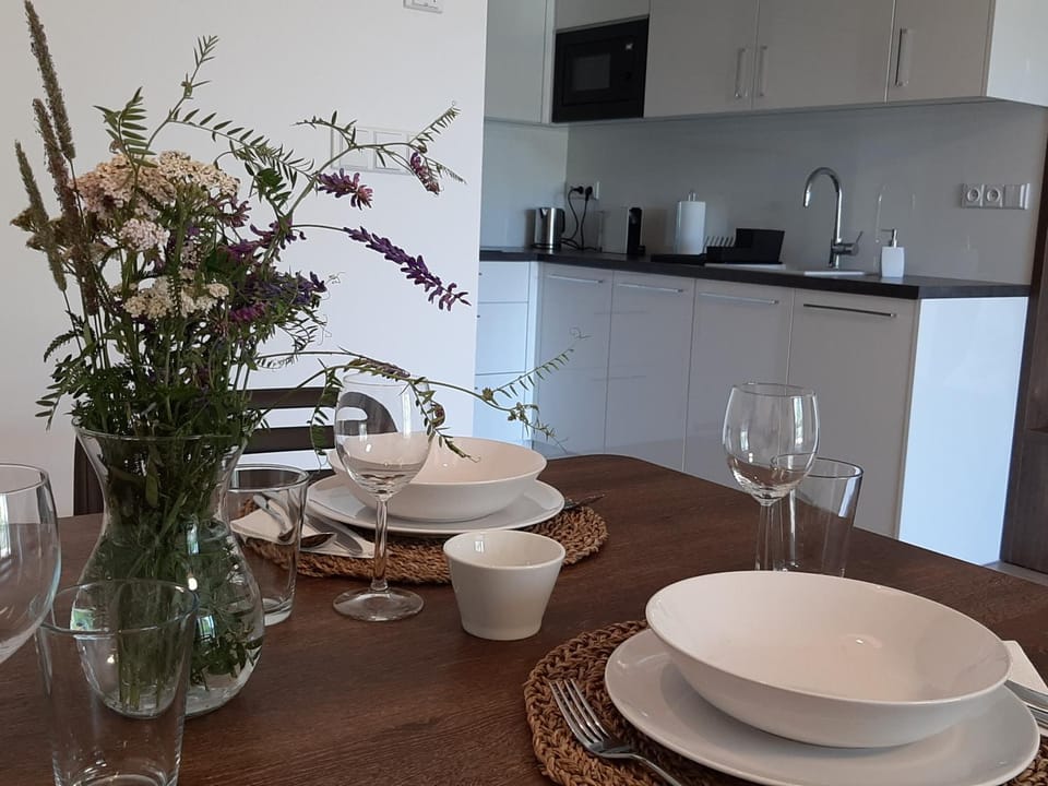 Apartmán Studnice Apartment in South Moravian Region