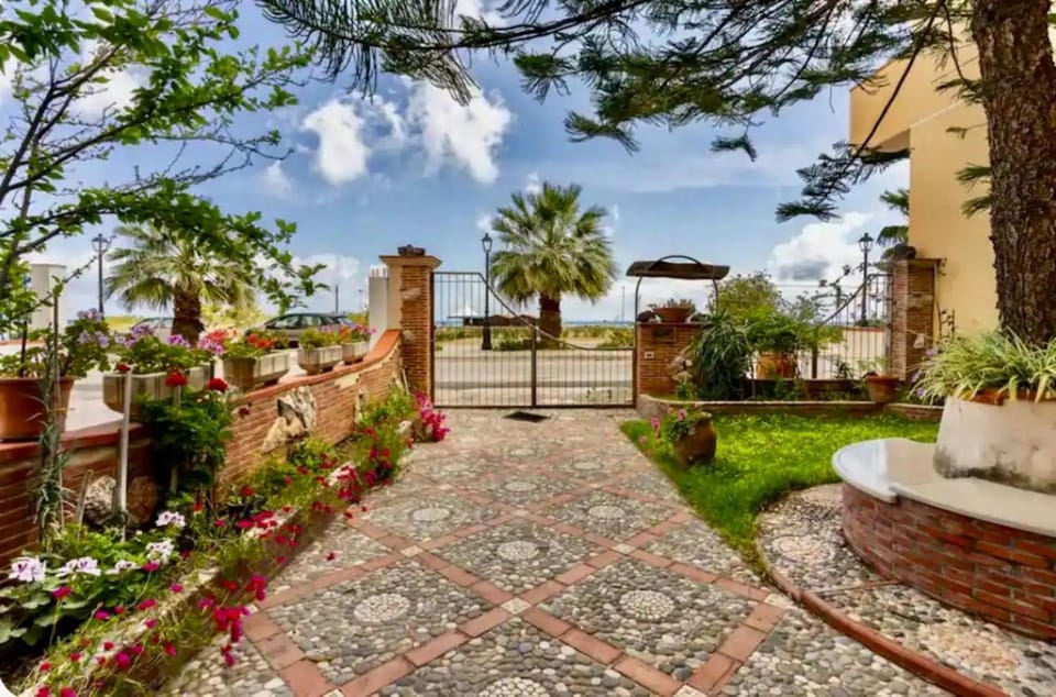 Una Araucaria sul mare Apartment in Sicily