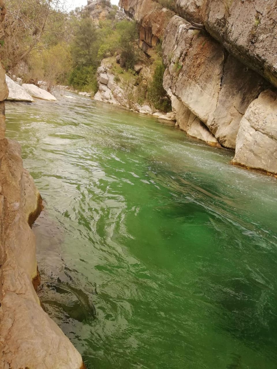 River view